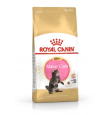 ROYAL CANIN Maine Coon Kitten - dry cat food - 2 kg