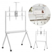 Maclean TV stand / cart, camera shelf, on casters, 55-100", max load 120kg/10kg shelf, max. VESA 900x600, white, MC-114 W