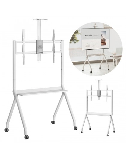 Maclean TV stand / cart, camera shelf, on casters, 55-100", max load 120kg/10kg shelf, max. VESA 900x600, white, MC-114 W