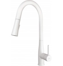 Kitchen faucet with pull-out spout
