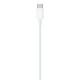 Apple USB-C to Lightning Cable (2m)