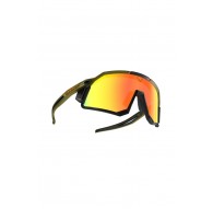 DYNAFIT glasses sky evo-winter moss-dawn