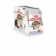 ROYAL CANIN FHN Ageing 12+ in jelly - wet cat food - 12X85g
